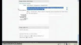 SEO | Magic8-SEO | More on WordPress page descriptions