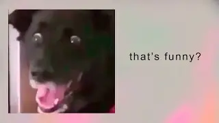 FUNNY videos 2019 for GOOD BOYS say bad wards (in the comments)