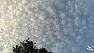А теперь посмотрим в небо \ So let's look to the sky | Лесной дух