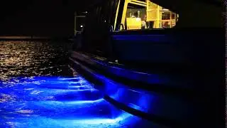 Free Stock Footage Boat on pier at night