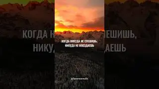 14 августа 2024 г.