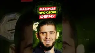 I Have 1,000 Sheep on My Farm! Islam Makhachev and Demetrious Johnson Talk About Animals UFC 330
