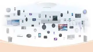 NETWORK SERVICES SARASOTA