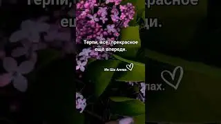 как то так #любовь #отношения #жизнь #shortvideo #shorts