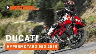 Ducati Hypermotard 950 2019 - Prueba, opinión y detalles - Motofan