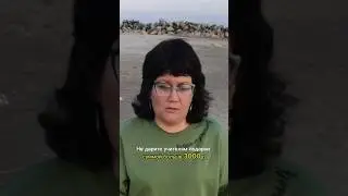 Не дарите учителям подарки! 