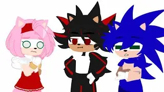 WE ARE NOT THE SAME HEDGEHOG||STH skit