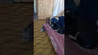 Шок 🤯
