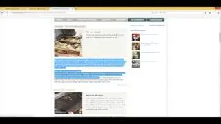 How To Get Content For Your PBNs - Epic Arrow SEO