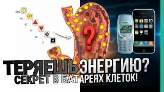Здоровье и  болезнь. 1 часть. Цифровые технологии