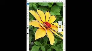 Convert Picture layer to pixel Layer Tutorial