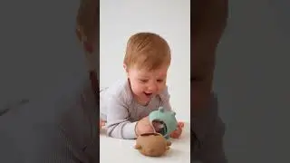 Силиконовый массажер для десен / прорезыватель для зубов | Happy Baby