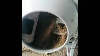 Моя помощница по хозяйству 🤗🙏👍🐥🐤🐥