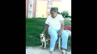 Brillo ,alla sua memoria 🐕💔