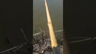 голые девушки на рыбалке