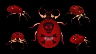 Infernal Bugs - Loops and Transition