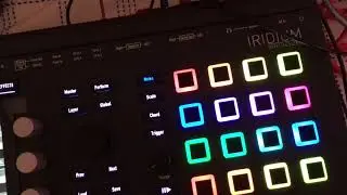 Waldorf Iridium CV modulation