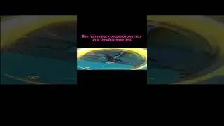 я повышала качество на сайте и у меня видео растянулось:( #genshinimpact #diona_oficial #геншиш #мем