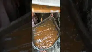 Mud water in radiator