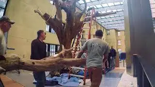 Ai Weiwei: Tree #11