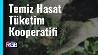 Temiz Hasat Tüketim Kooperatifi'nin Hikayesi / ifbilgi'den