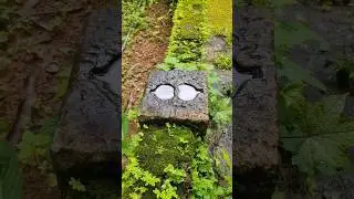 കല്ലിൽ ഗുഹാക്ഷേത്രം kallil jaine cave tempile part -1 
