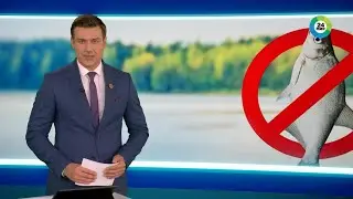Охота на браконьеров в Беларуси: что грозит за нелегальный улов?