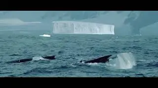 Antarctica from above promo