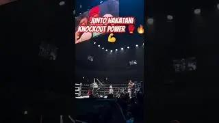 The Power of Junto Nakatani | Knockout power