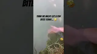 When the carp are really up for feeding! 🤣🎣 #fishing #anglingtimes #matchfishing #carpfishing