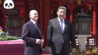 German Chancellor Olaf Scholz in Beijing #scholz #xijinping #beijing #china