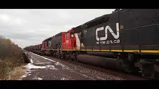 CN U71881