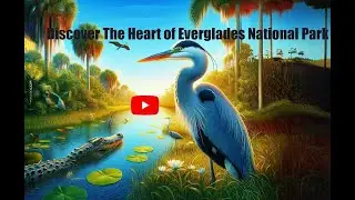 Discover the Heart of Everglades National Park: Ernest F. Coe Visitor Center Tour.