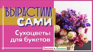 These dried flowers are easy to grow! Beautiful bouquets for your home decor.