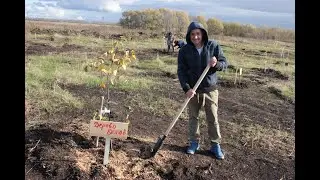 Народный сад!