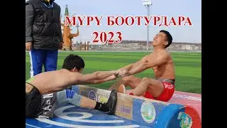 Мүрү боотурдара 2023