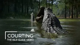 The Isle Guide: Courting