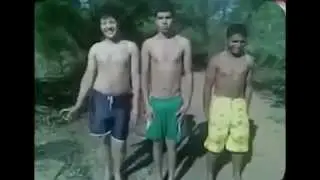 Melhores do Whatsapp Bichas engraçadas # 1