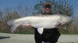 Carp Fishing (Mika-Alas  Mart 2014)
