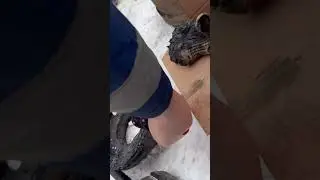 Лопнула ступица полуприцепа маз