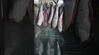 Рыба холодного копчения!!!