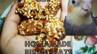 DIY Easy Bird Treats