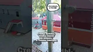Как устроена гостиница для котов