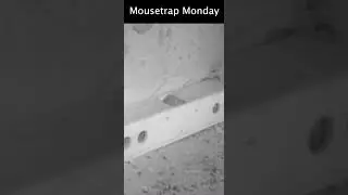 An Old But Effective Mouse Trap - Mousetrap Monday
