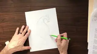 Doodl Creative Studio - The Thirsty Dragon