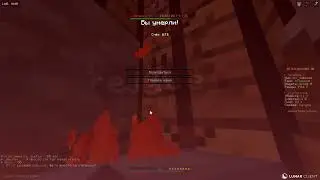 RAIDMINE EXPERIENCE
