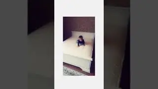 Асимус отзыв-7