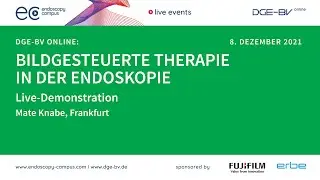 DGE-BV online Symposium - 08.12.2021: Live-Demo M. Knabe