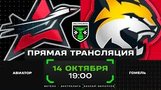 Авиатор - Гомель | 14.10.2024 | Экстралига | Прямая трансляция