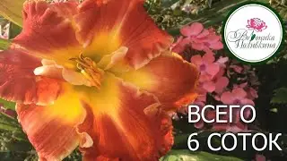 МОЙ САД НА 6 СОТКАХ